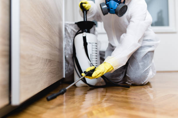 Professional Pest Control in Weston, FL
