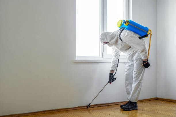 Best Local Pest Control Services  in Weston, FL
