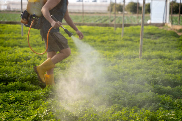 Best Affordable Pest Control Services  in Weston, FL
