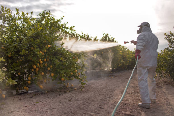 Best Best Pest Control Companies  in Weston, FL