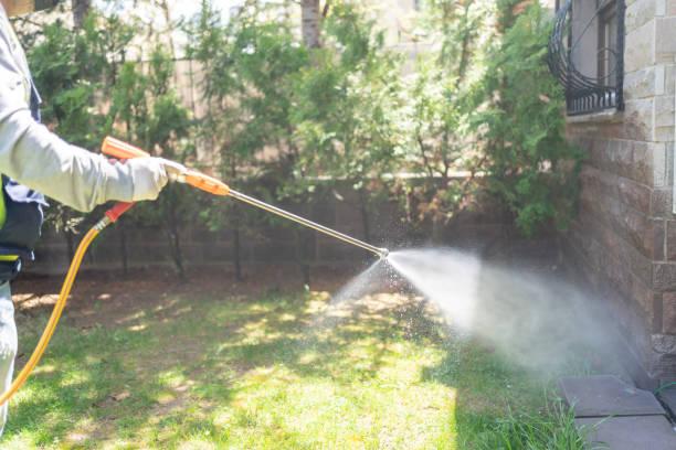 Best Cockroach Control Services  in Weston, FL