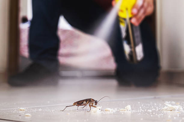 Best Pest Control Near Me  in Weston, FL