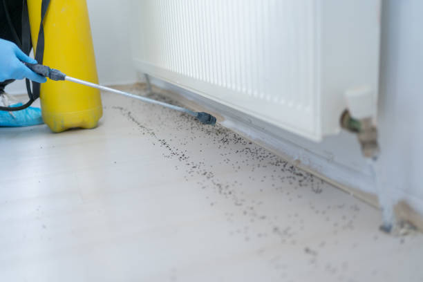 Best Pest Removal Services  in Weston, FL