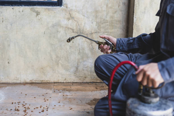 Best Emergency Pest Control  in Weston, FL
